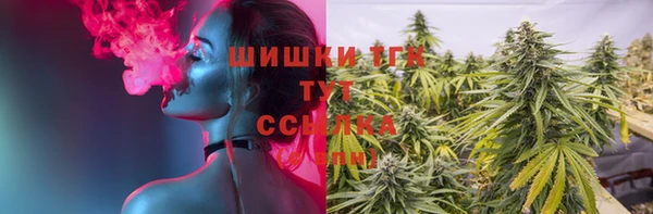 прущие крисы Мегион