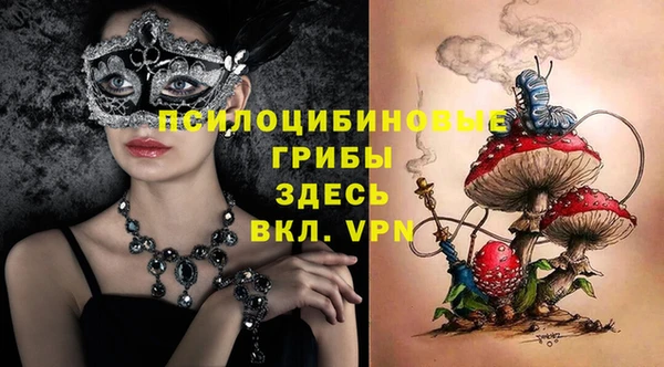 тгк Магадан