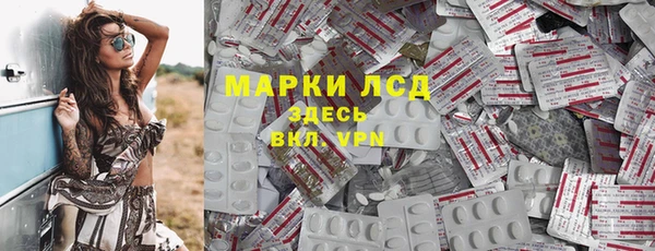 трава Медвежьегорск