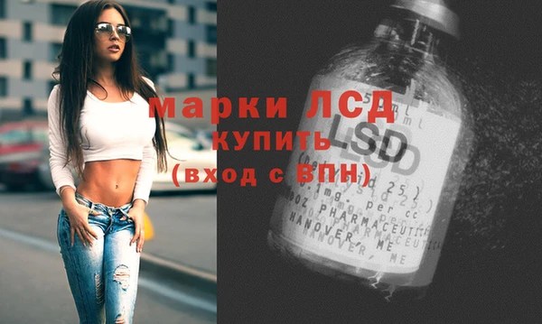 трава Медвежьегорск