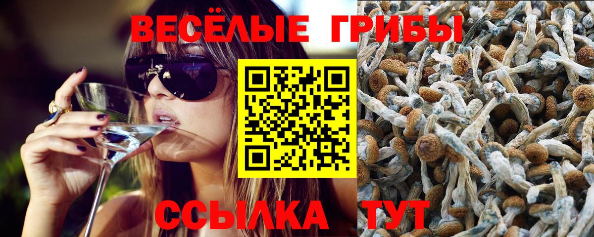 Галлюциногенные грибы Cubensis Старая Русса