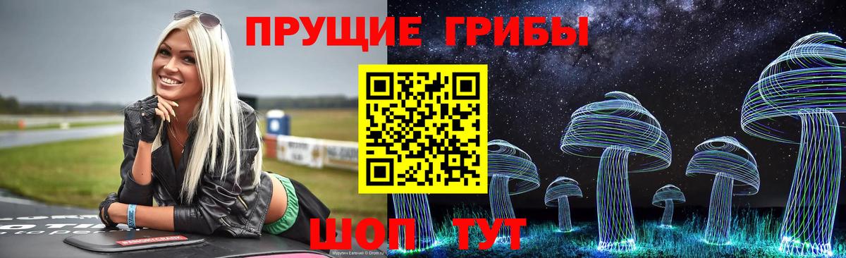 Псилоцибиновые грибы Psilocybine cubensis Старая Русса
