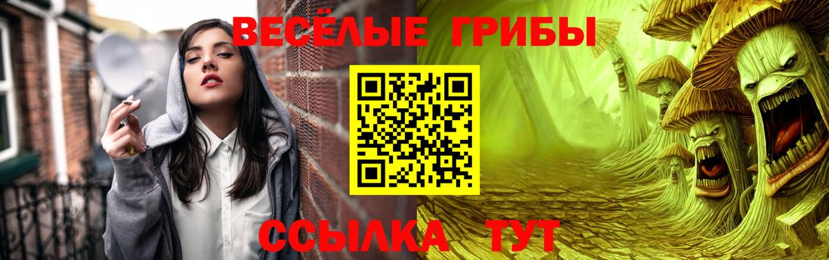 Галлюциногенные грибы прущие грибы  Галлюциногенные грибы прущие грибы  Старая Русса  Вход с VPN 