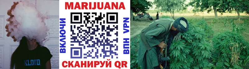 купить закладку  Старая Русса  Бошки марихуана план 